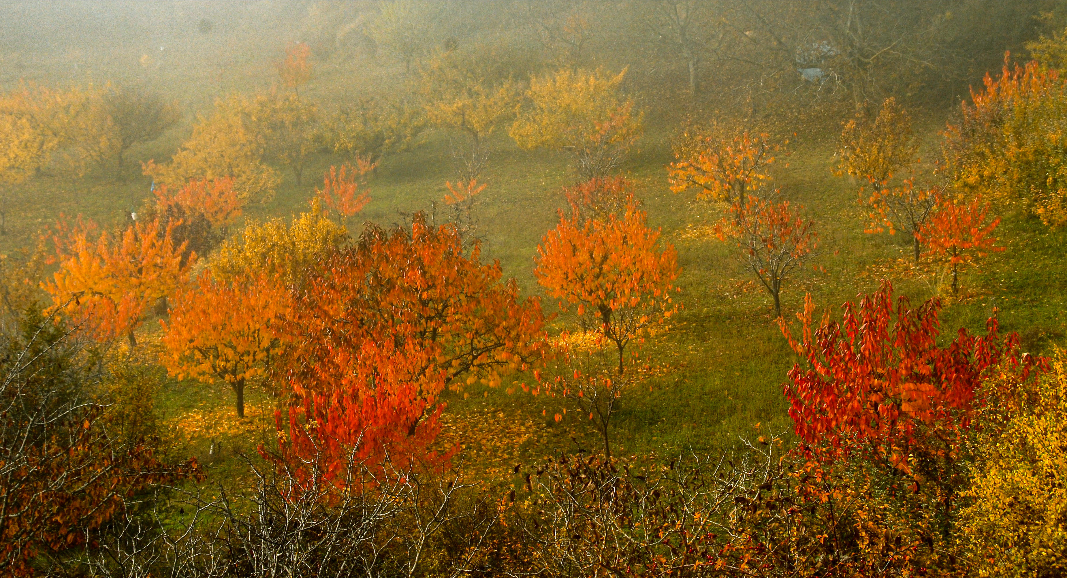 De colores se viste el otoño